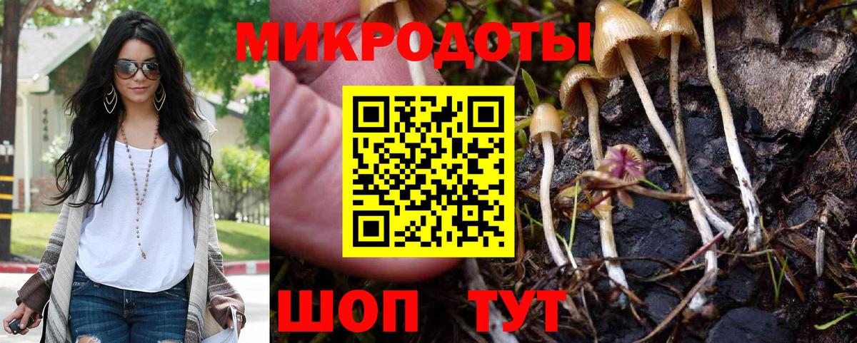 Галлюциногенные грибы Psilocybine cubensis  Псилоцибиновые грибы Magic Shrooms  Сердобск  Вход с VPN 