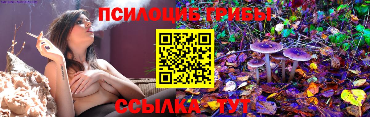 Галлюциногенные грибы Magic Shrooms Сердобск